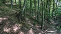 Serbia monastery Koporin nearby hiking trail