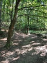 Serbia monastery Koporin nearby hiking trails