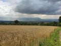 Serbia Sokobanja region cropland on hilly terrain