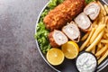 Serbian Breaded Rolled Cutlet Karageorge Schnitzel with french fries and tartar sauce close-up in a plate. Horizontal top view Royalty Free Stock Photo