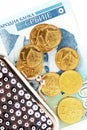Serbian dinars Royalty Free Stock Photo