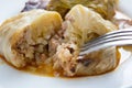 Serbian dish sarma served in white plate Royalty Free Stock Photo