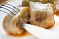 Serbian dish sarma served in white plate Royalty Free Stock Photo
