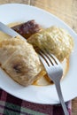 Serbian dish sarma served in white plate Royalty Free Stock Photo
