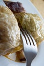 Serbian dish sarma served in white plate Royalty Free Stock Photo