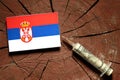 Serbian flag on a stump with syringe injecting money Royalty Free Stock Photo