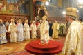 Serbian Patriarch Irinej Royalty Free Stock Photo