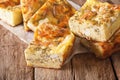 Serbian pie Gibanica with cheese, eggs and greens close-up. horizontal Royalty Free Stock Photo