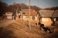 SEREDNIE, UKRAINE - MARCH 09, 2011: Roma village life in poverty and destitution