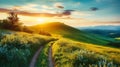 Serenade of Nature: Picturesque Winding Path Through Green Grass Field in Hilly Morning Dawn, Spring and Summer Panorama