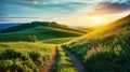 Serenade of Nature: Picturesque Winding Path Through Green Grass Field in Hilly Morning Dawn, Spring and Summer Panorama