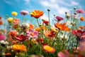 Serenade of Wildflowers: A Blissful Meadow Beneath a Blue Sky