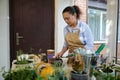 Serence woman in beige apron enjoying floriculture, plants transplanting and household chores. Houseplants on foreground Royalty Free Stock Photo