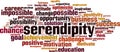 Serendipity word cloud Royalty Free Stock Photo