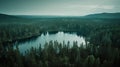 Serene Aerial View of a Lake in Lush Forest