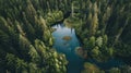 Serene Aerial View of a Lake in Lush Forest Wetlands