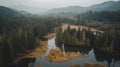 Serene Aerial View of Lush Forest Wetlands