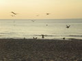 Serene afternoon on Baltic Sea in Piaski, on Vistula Spit, in Poland