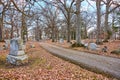 Serene Autumn Cemetery Pathway with Fallen Leaves and Bare Trees Royalty Free Stock Photo