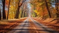 Serene Autumn Drive Through Vibrant Trees Royalty Free Stock Photo