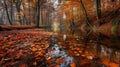 Serene Autumn Forest River Scene with Vibrant Foliage Royalty Free Stock Photo