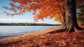 serene autumn lake