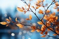 Serene autumn landscape, tree leaves dance against the blue sky