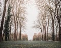 A path in the woods Royalty Free Stock Photo