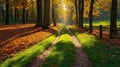 Autumn forest pathway Royalty Free Stock Photo