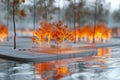 Serene Autumn Scene with Glowing Orange Trees and Reflective Water in a Tranquil Park Setting