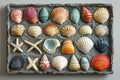 A serene background featuring seashells arranged beautifully on a sandy surface. Royalty Free Stock Photo