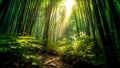 A serene bamboo forest with beauty sunlight. Serenity of nature. Generative AI Royalty Free Stock Photo