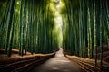 A serene bamboo forest, its tall, slender shoots creating a soothing symphony in the wind