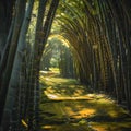 Serene Bamboo Forest Path Sunlight Dapples Natures Tunnel