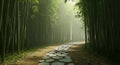 Serene Bamboo Forest Path Royalty Free Stock Photo