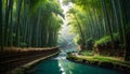Serene Bamboo Forest Pathway Alongside a Turquoise River with Lush Greenery nature Royalty Free Stock Photo