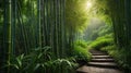 Bamboo Forest Path to Serenity: A Peaceful Journey Through Lush Greenery and Tranquil Steps. Royalty Free Stock Photo