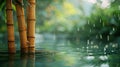 Serene Bamboo Stalks in Water Blur - Peaceful Natural Background