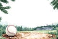 serene baseball scene Royalty Free Stock Photo