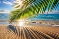 Palm Leaf Shadow on Sand Beach Background with Sun Glitter on Water Surface Royalty Free Stock Photo