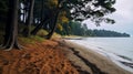 Moody Beachscape With Deciduous Trees And Rainy Weather