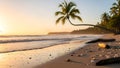 Serene beach scene with palm tree at sunset on sandy shore with shells Royalty Free Stock Photo