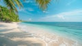 A serene beach scene, with palm trees swaying in the breeze and turquoise waters lapping at the shore Royalty Free Stock Photo