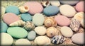 Serene beach scene with pastel pebbles and intricate seashells on fine sand Royalty Free Stock Photo