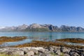 Clear turquoise Norwegian Sea contrasts with dramatic mountain peaks in Lofoten, Norway Royalty Free Stock Photo