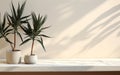 Serene Beauty Treatment Sunlit Counter Table with Beige Cotton Tablecloth and Tropical Dracaena Tree on White Wall