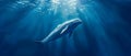 Serene Beluga\'s Underwater Ballet in Sunlit Depths. Concept Underwater Photography, Marine Life,