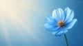 Serene blue flower against a soft, light blue background with gentle rays of sunlight. Generative AI Royalty Free Stock Photo
