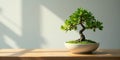 Serene bonsai tree in sunlight on wooden tabletop, minimalist home decor image. Generative AI Royalty Free Stock Photo