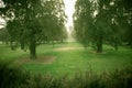 Serene, calm, and peaceful tranquil green nature trees pathway i
